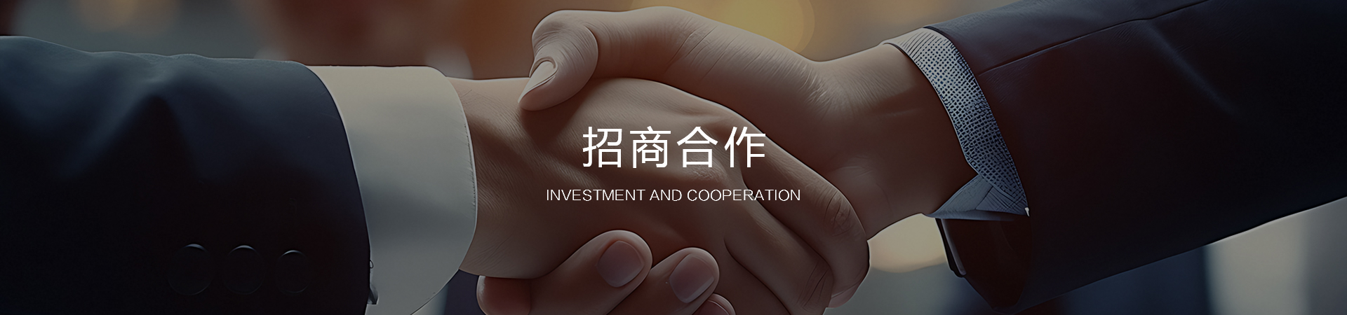 9001cc金沙以诚为本(中国)有限公司官网